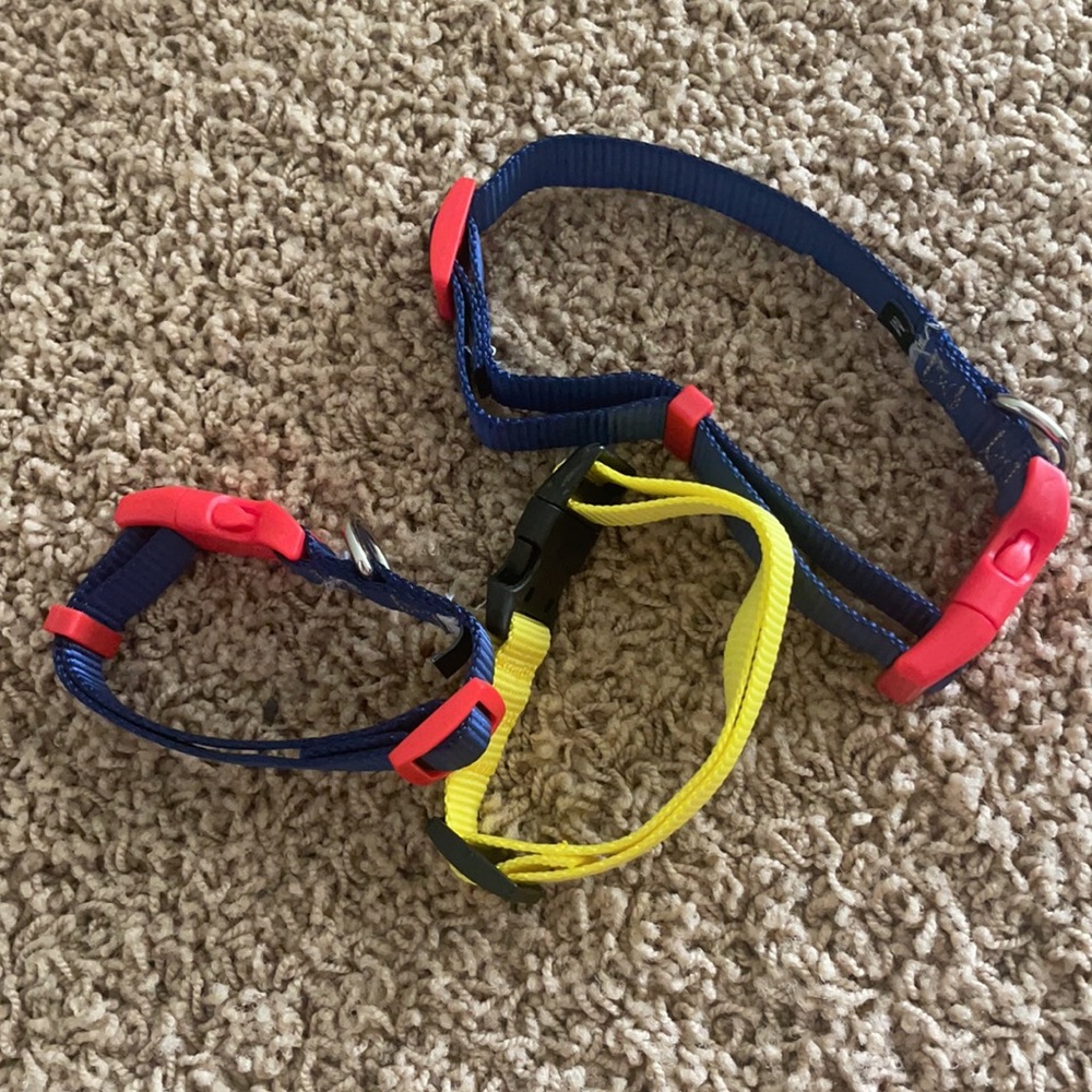 Dog collars